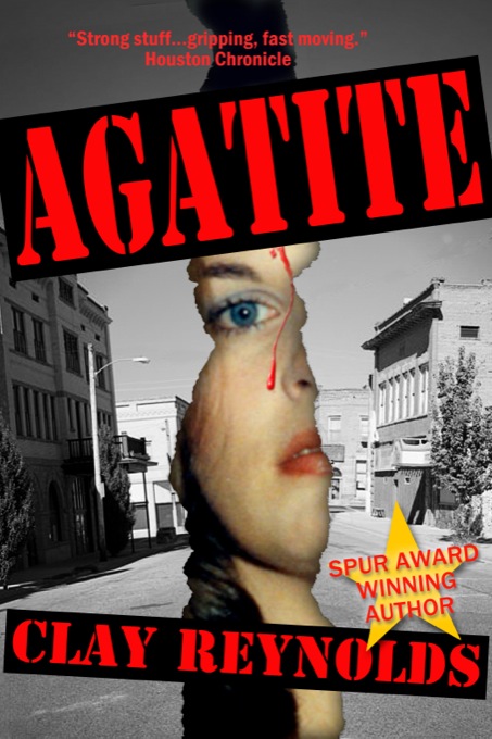 Agatite, a novel by Clay Reynolds